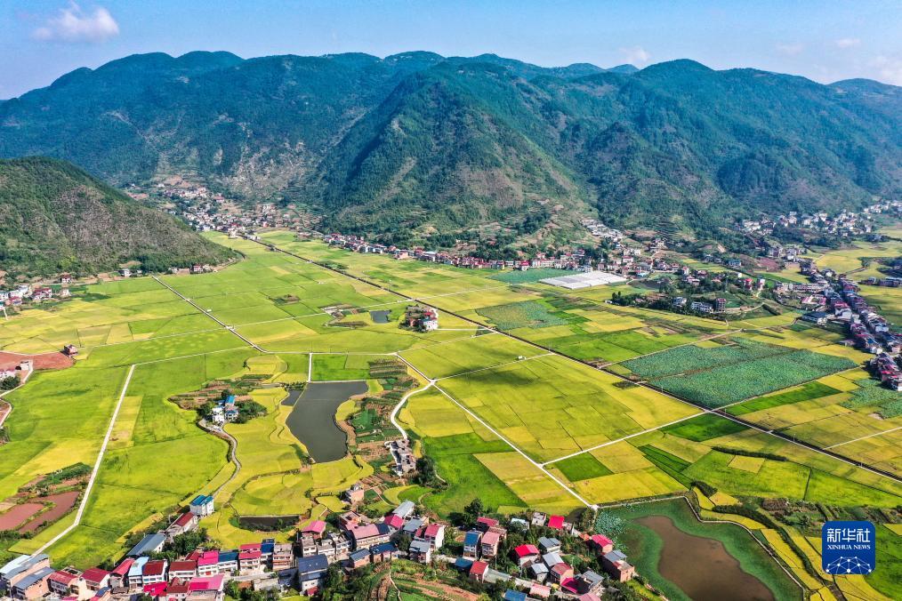菲律宾盈城集团